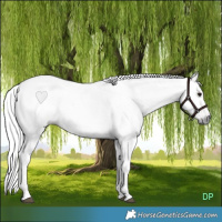 Horse Color:Gray Brown Tobiano Rabicano