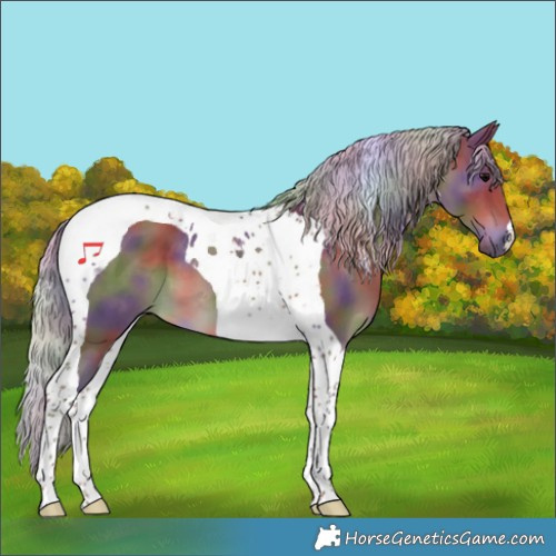 Horse Color:Nacre Silver Black Tobiano 