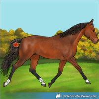 Horse Color:Unknown 