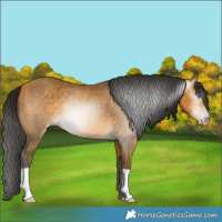 Horse Color:Gray Amber Cream Champagne 
