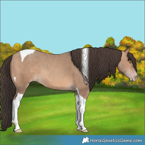 Horse Color:Sable Champagne Tobiano 