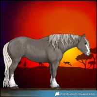 Horse Color:Silver Black 