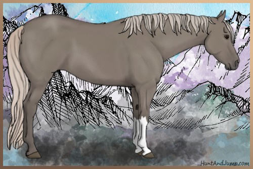 Horse Color:Silver Grullo 