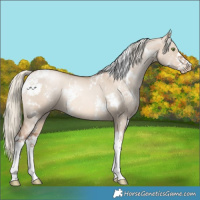 Horse Color:White Spotted Liver Red Dun Pearl Mushroom Sabino 