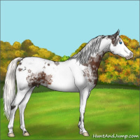 Horse Color:White Spotted Liver Chestnut Mushroom Splash Tobiano 