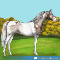 Horse Color:Liver Red Onyx Mushroom Sabino Tobiano Rabicano 