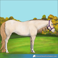 Horse Color:Smoky Blue Roan Pearl 