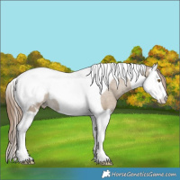 Horse Color:Classic Cream Champagne Splash Tobiano Snowcap Rabicano