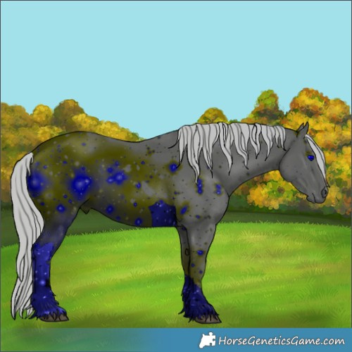 Horse Color:ERROR: UNKNOWN ANOMALY