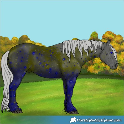 Horse Color:ERROR: UNKNOWN ANOMALY