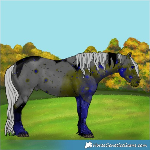 Horse Color:ERROR: UNKNOWN ANOMALY