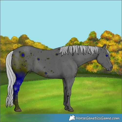 Horse Color:ERROR: UNKNOWN ANOMALY