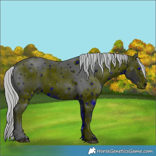 Horse Color:ERROR: UNKNOWN ANOMALY