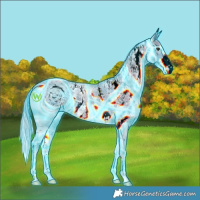 Horse Color:ERROR: UNKNOWN ANOMALY