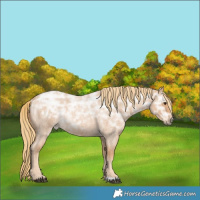 Horse Color:Red Ice Roan Rabicano 