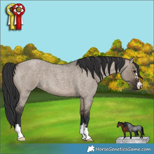Horse Color:Brown Roan Dun 