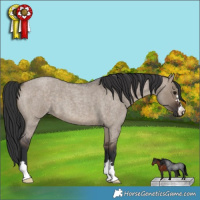 Horse Color:Brown Roan Dun 