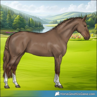 Horse Color:Liver Red Dun Tobiano