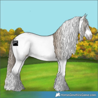 Horse Color:White Spotted Smoky Grullo Splash Frame Varnish 