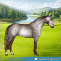 Horse Color:Gray Chestnut 