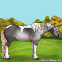 Horse Color:Gray Chocolate Palomino Tobiano Rabicano