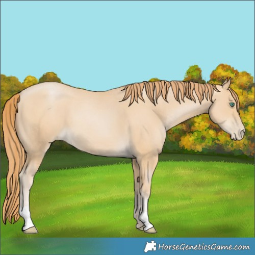 Horse Color:Smoky Black Pearl 