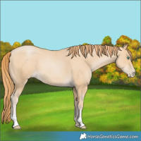 Horse Color:Smoky Black Pearl 