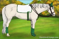 Horse Color:Cremello 