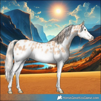 Horse Color:White Spotted Gold Champagne Dun Splash Frame Appaloosa Rabicano 
