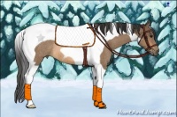 Horse Color:Buckskin Tobiano Rabicano