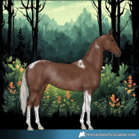 Horse Color:Silver Black Tobiano Rabicano 
