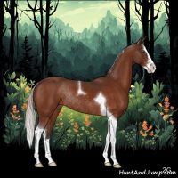 Horse Color:Silver Brown Splash Tobiano Rabicano 