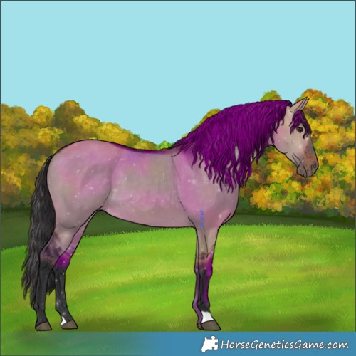 Horse Color:Brown Dun 