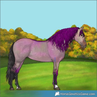 Horse Color:Brown Dun