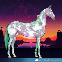 Horse Color:Watercolor White Spotted Bay Ice Sabino Frame