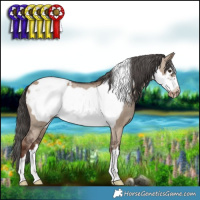 Horse Color:Liver Red Dun Frame Varnish 