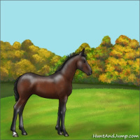 Horse Color:Brown 
