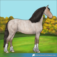 Horse Color:Sable Champagne Roan