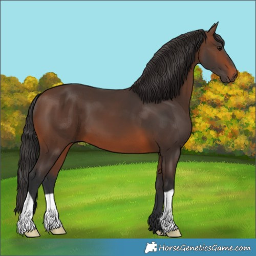 Horse Color:Brown 