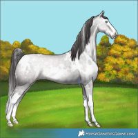 Horse Color:Platinum White Spotted Sable Cream Champagne Dun Splash Rabicano 