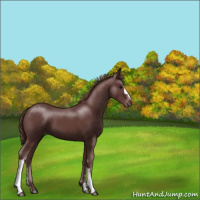 Horse Color:Chocolate Smoky Black Varnish 