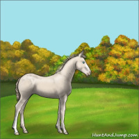 Horse Color:Chocolate Smoky Creme 