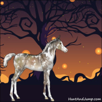 Horse Color:White Spotted Liver Red Dun Mushroom Sabino Brindle 