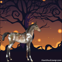 Horse Color:White Spotted Brown Dun Brindle 