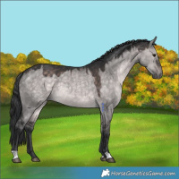 Horse Color:Platinum Brown Dun 