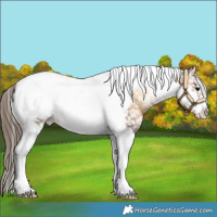 Horse Color:Buckskin Onyx Tobiano Frame Snowflake Varnish 