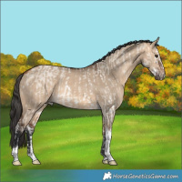 Horse Color:Buckskin Roan Dun Sabino Splash Rabicano  and Bay Dun Tobiano Rabicano 