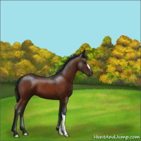 Horse Color:Brown 