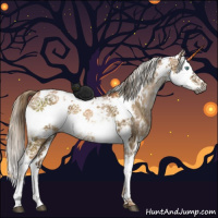 Horse Color:Gray Liver Red Dun Pearl Sabino Brindle 