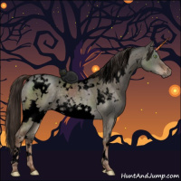 Horse Color:Void White Spotted Liver Red Dun Brindle 